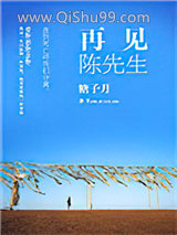 再见陈先生小说