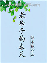 老房子的春天小说