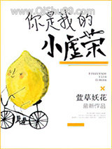 你是我的小虚荣小说