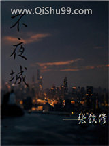 不夜城小说