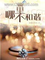 哪里不和谐小说