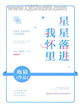 星星落进我怀里小说