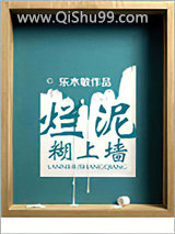 烂泥糊上墙小说