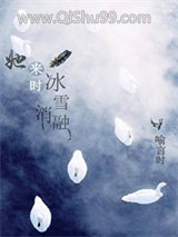 她来时冰雪消融小说