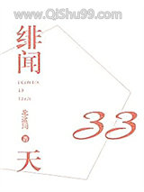 绯闻33天小说