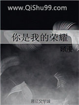 你是我的荣耀小说
