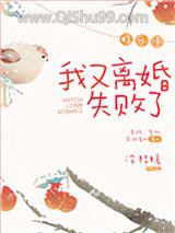 我又离婚失败了[娱乐圈]小说