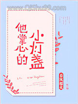 他掌心的小灯盏小说