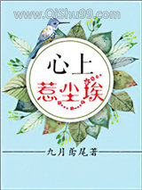 心上惹尘埃小说