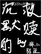 沉默的救赎小说