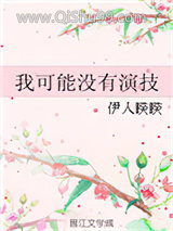 我可能没有演技小说