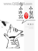 小酒窝遇上小梨涡小说