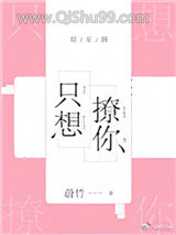 只想撩你[娱乐圈]小说