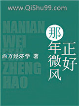 那年微风正好小说