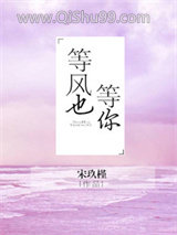 等风也等你小说