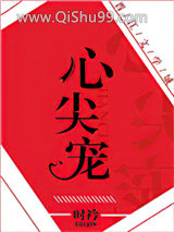 心尖宠（娱乐圈）小说