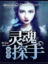 快穿之灵魂探手小说