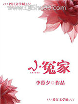 小冤家小说