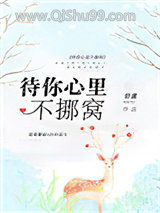 待你心里不挪窝小说