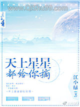 天上星星都给你摘小说