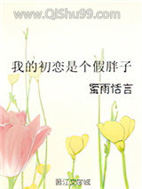 我的初恋是个假胖子小说