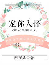宠你入怀小说