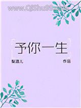 予你一生小说