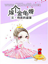 嫁个金龟婿小说
