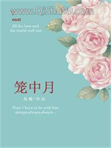 笼中月小说