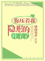 你压着我隐形的叶子了小说