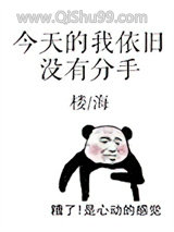 今天的我依旧没有分手小说