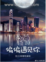 偏偏遇见你小说