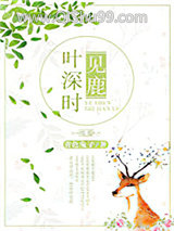 叶深时见鹿小说