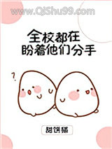 全校都在盼着他们分手小说