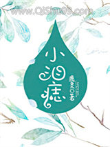 小泪痣小说