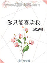 你只能喜欢我小说