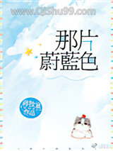 那片蔚蓝色小说