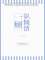 一顾很倾情小说