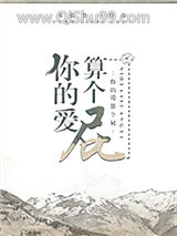 你的爱算个屁[娱乐圈]小说