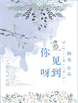 一见到你呀小说