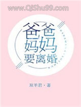 爸爸妈妈要离婚小说