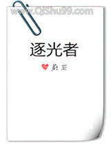 逐光者小说