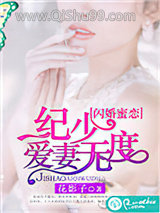 闪婚蜜恋：纪少爱妻无度小说