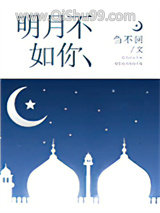 明月不如你小说