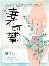 妻不可攀小说