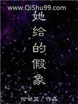 她给的假象小说