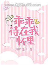 乖乖待在我怀里小说