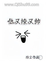 他又撩又帅小说