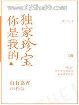 你是我的独家珍宝小说