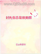 封先生总是很美丽小说